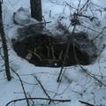 берлога