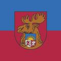 елгава