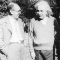 фефер