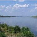 кулунда