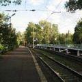 раздоры