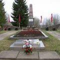 синявинские