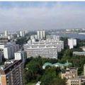 тушино