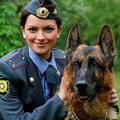 василиса