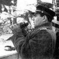 вейдлинг