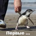 шаги